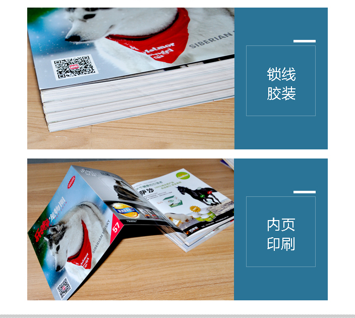 樂嘟寵物園宣傳畫冊印刷 樂嘟寵物園宣傳畫冊印刷