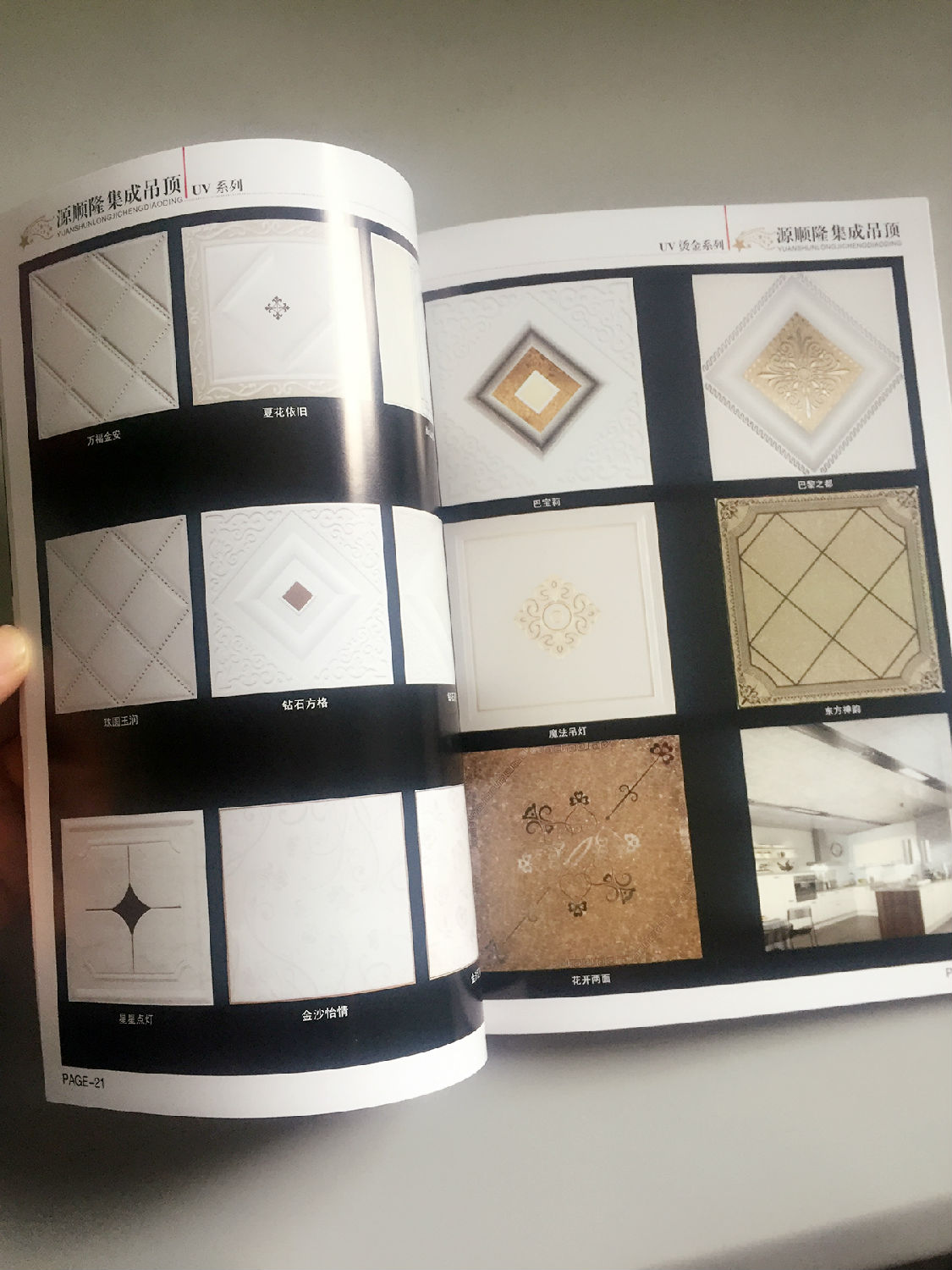 豪彩企業宣傳冊