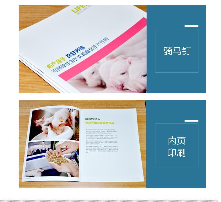 北京泰高營養科技有限公司 北京泰高營養科技有限公司