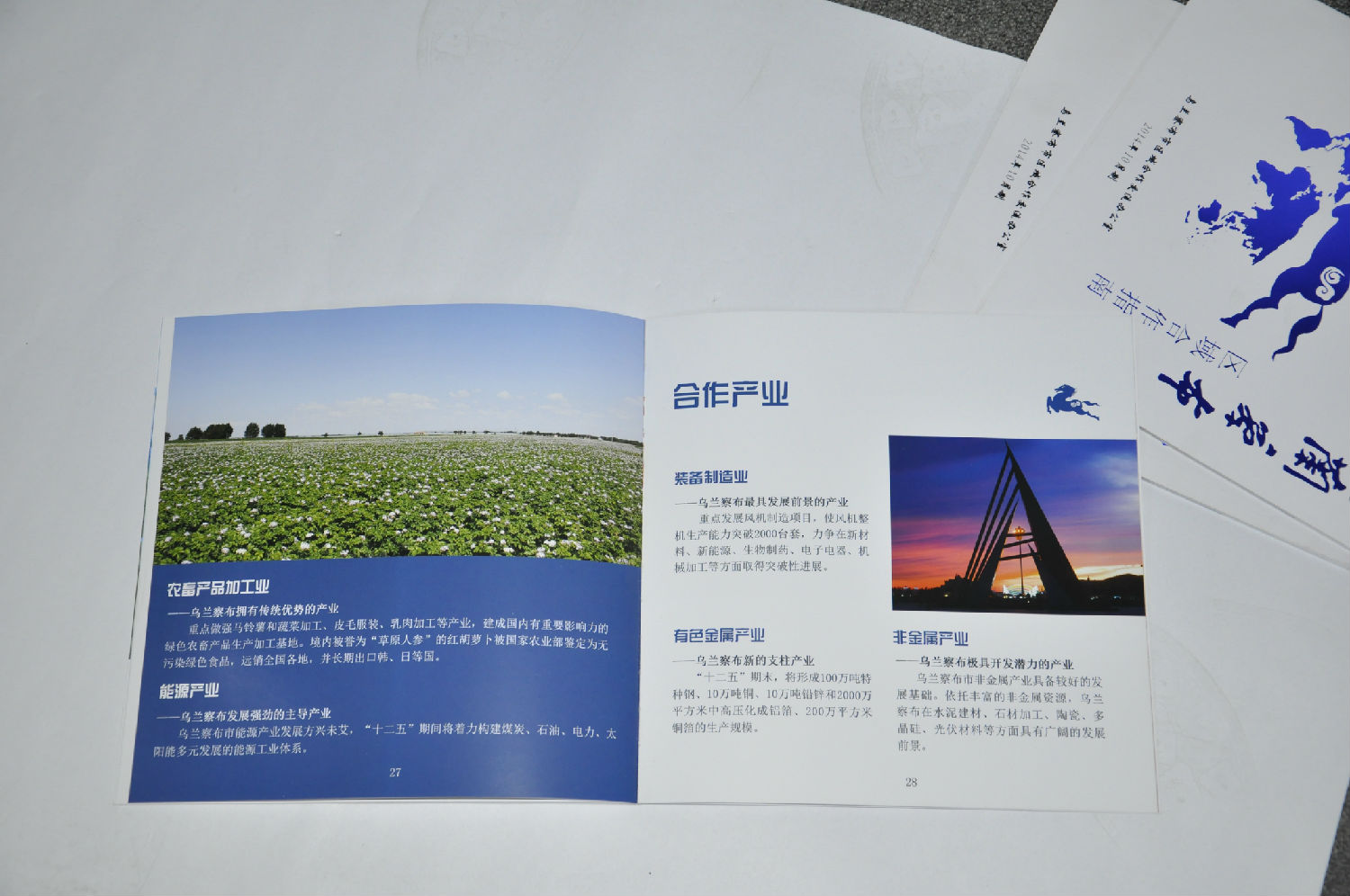 豪彩佳印宣傳冊印刷