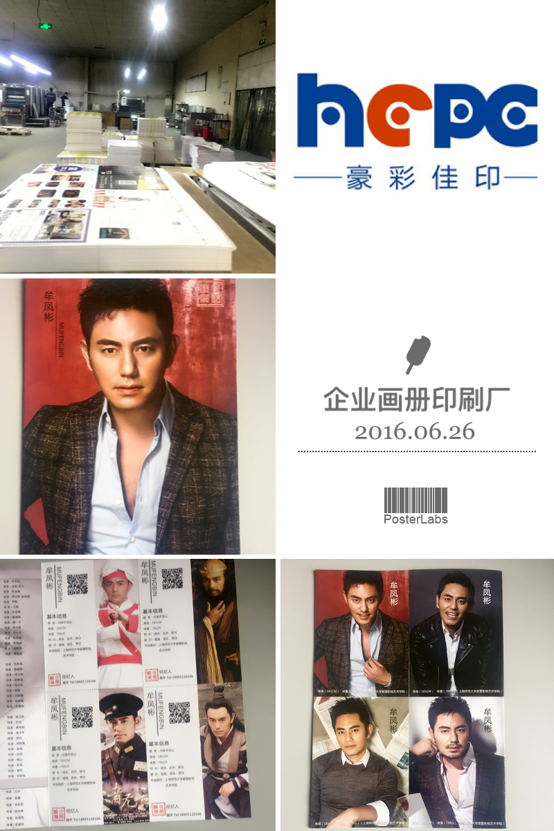 明星企業畫冊印刷