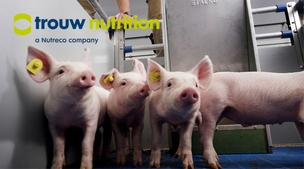 圖片一.jpg 圖片一.jpg