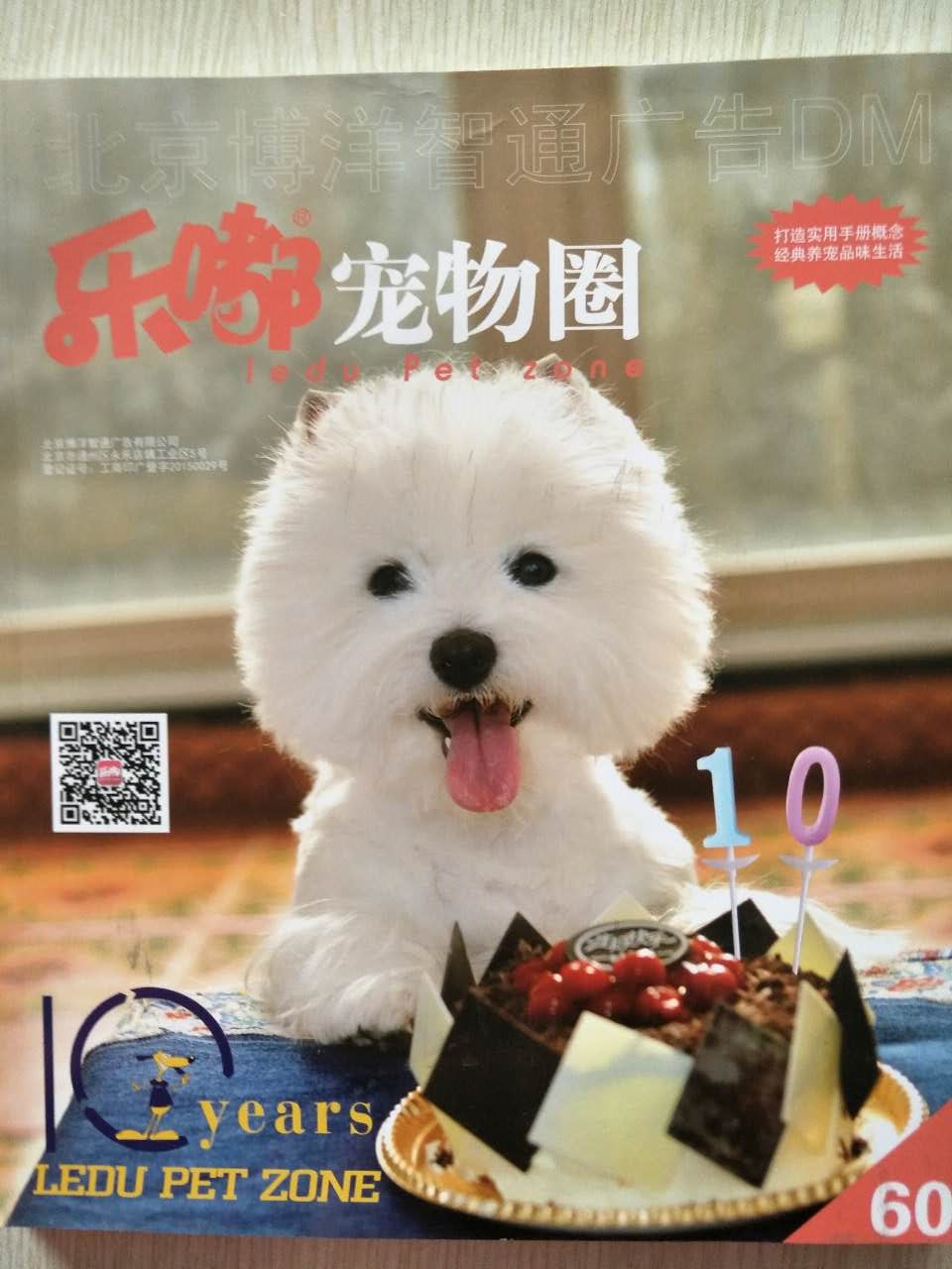 企業宣傳冊印刷——豪彩佳印做印刷您放心! 企業宣傳冊印刷——豪彩佳印做印刷您放心!