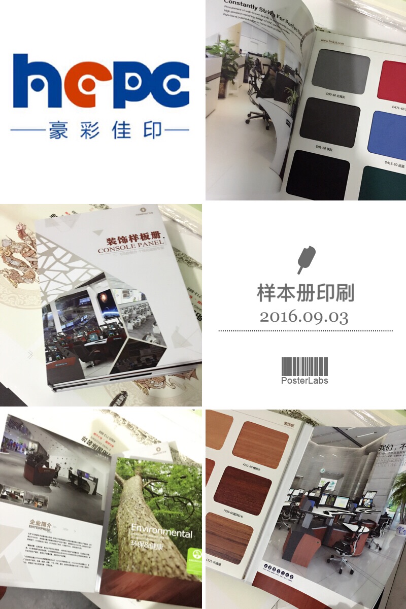 企業(yè)精裝畫冊印刷品
